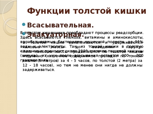 Функции толстой кишки Всасывательная.  Эвакуаторная. В толстом кишечнике преобладают процессы реадсорбции. Здесь всасываются глюкоза, витамины и аминокислоты, вырабатываемые бактериями кишечной полости, до 95% воды и электролиты. Так, из тонкой кишки в толстую ежедневно проходит около 2000 граммов пищевой кашицы (химуса), из них после всасывания остается 200 - 300 граммов кала. В толстой кишке накапливаются и удерживаются каловые массы до выведения наружу.  Хотя каловые массы продвигаются по толстой кишке медленно (кишечное содержимое проходит по тонкой кишке (5 метров) за 4 - 5 часов, по толстой (2 метра) за 12 - 18 часов), но тем не менее они нигде не должны задерживаться.