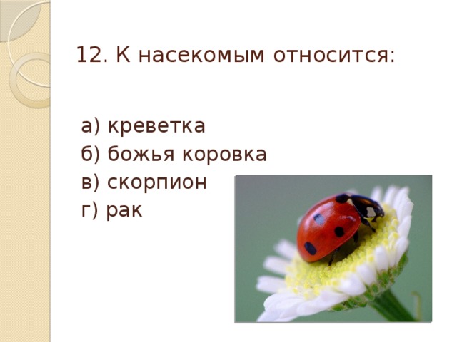 12. К насекомым относится:   а) креветка б) божья коровка в) скорпион г) рак