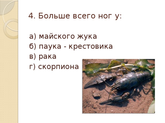 4. Больше всего ног у:   а) майского жука б) паука - крестовика в) рака г) скорпиона