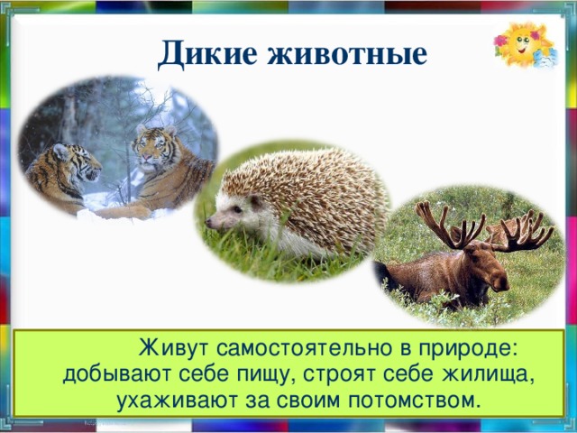 Дикие животные     Живут самостоятельно в природе: добывают себе пищу, строят себе жилища, ухаживают за своим потомством.