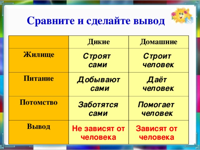 Сравните и сделайте вывод Дикие Жилище Домашние Питание Потомство Вывод Строят сами Строит человек Даёт человек Добывают сами Заботятся сами Помогает человек Не зависят от человека Зависят от человека