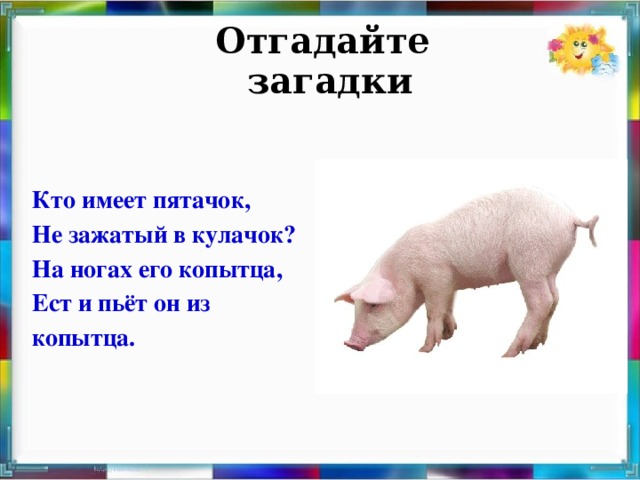 Отгадайте загадки   Кто имеет пятачок, Не зажатый в кулачок? На ногах его копытца, Ест и пьёт он из копытца.