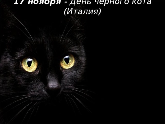 17 ноября - День черного кота (Италия)