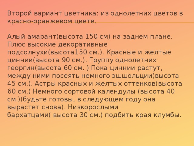 Второй вариант цветника: из однолетних цветов в красно-оранжевом цвете.   Алый амарант(высота 150 см) на заднем плане. Плюс высокие декоративные подсолнухи(высота150 см.). Красные и желтые циннии(высота 90 см.). Группу однолетних георгин(высота 60 см. ).Пока циннии растут, между ними посеять немного эшшольции(высота 45 см.). Астры красных и желтых оттенков(высота 60 см.) Немного сортовой календулы (высота 40 см.)(будьте готовы, в следующем году она вырастет снова). Низкорослыми бархатцами( высота 30 см.) подбить края клумбы.