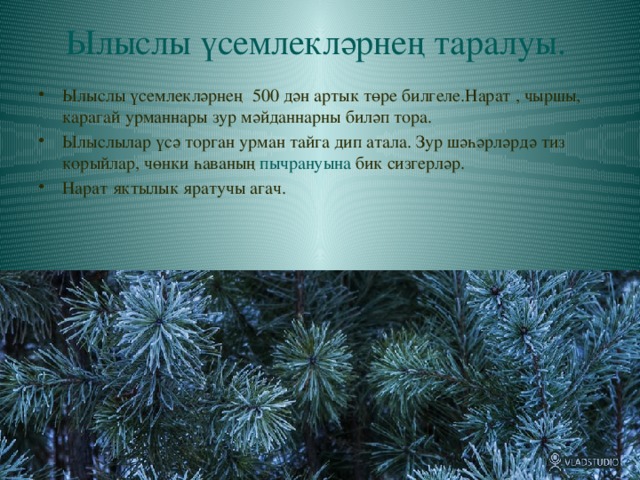 Ылыслы үсемлекләрнең таралуы.