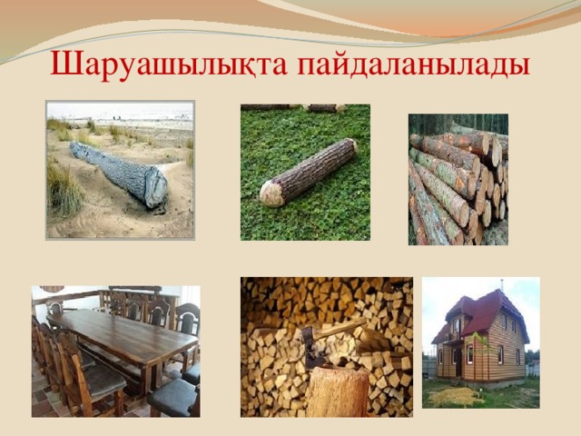 Шаруашылықта пайдаланылады