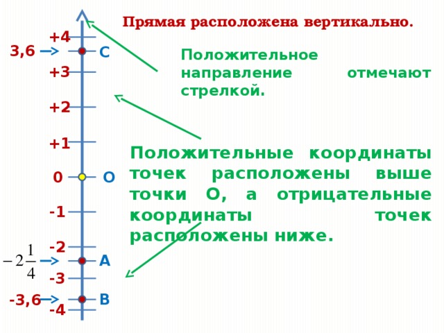 Прямая расположена вертикально. +4 3,6 С Положительное направление отмечают стрелкой. +3 +2 +1 Положительные координаты точек расположены выше точки О, а отрицательные координаты точек расположены ниже. О 0 -1 -2 А -3 В -3,6 -4