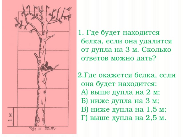 Где будет находится белка, если она удалится от дупла на 3 м. Сколько ответов можно дать? Где окажется белка, если она будет находится: