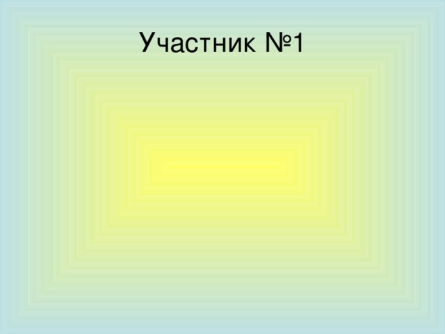 Участник №1