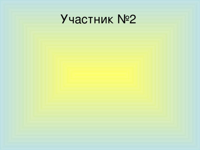 Участник №2