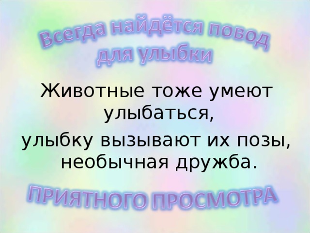 Животные тоже умеют улыбаться, улыбку вызывают их позы, необычная дружба.