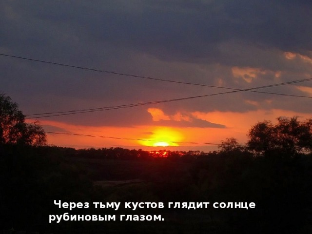 Через тьму кустов глядит солнце рубиновым глазом.  «Рубиновый глаз»  Через тьму кустов глядит солнце рубиновым глазом.