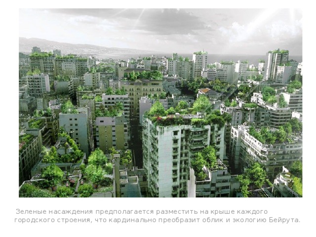 Зеленые насаждения предполагается разместить на крыше каждого городского строения, что кардинально преобразит облик и экологию Бейрута.