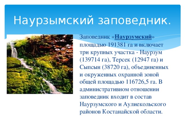 Заповедник часы работы. Заповедники Казахстана список. Выберите характеристику Наурзумского заповедника.