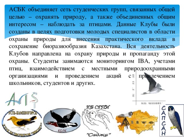 АСБК объединяет сеть студенческих групп, связанных общей целью – охранять природу, а также объединенных общим интересом – наблюдать за птицами. Данные Клубы были созданы в целях подготовки молодых специалистов в области охраны природы для внесения практического вклада в сохранение биоразнообразия Казахстана. Вся деятельность Клубов направлена на охрану природы и пропаганду этой охраны. Студенты занимаются мониторингом IBA, учетами птиц, взаимодействием с местными природоохранными организациями и проведением акций с привлечением школьников, студентов и других.