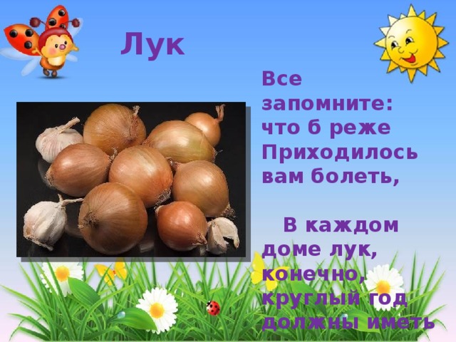 Лук Все запомните: что б реже Приходилось вам болеть, В каждом доме лук, конечно, круглый год должны иметь