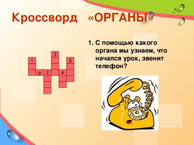 Кроссворд «ОРГАНЫ» С помощью какого органа мы узнаем, что начался урок, звенит телефон? 3 5 1 4 р 2 Разгадав кроссворд, узнаем тему урока