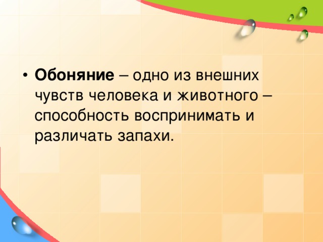 Обоняние – одно из внешних чувств человека и животного – способность воспринимать и различать запахи.