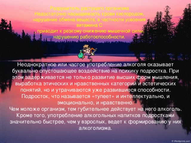 Разрушитель растущего организма Недостаточно насыщаемость крови кислородом, нарушение обмена веществ, в частности усвоения витамина С , приводит к резкому снижению мышечной силы, нарушению работо­способности. Неоднократное или частое употребление алкоголя оказывает буквально опустошающее воздействие на психику подростка. При этом задерживается не только развитие высших форм мышления, выработка этических и нравственных категорий и эстетических понятий, но и утрачиваются уже развившиеся способности. Подросток, что называется «тупеет» и интеллектуально, и эмоционально, и нравственно. Чем моложе организм, тем губительнее действует на него алкоголь. Кроме того, употребление алкогольных напитков подростками значительно быстрее, чем у взрослых, ведет к формированию у них алкоголизма.