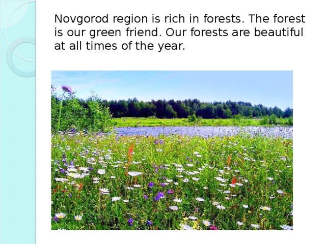 Novgorod region is rich in forests. The forest is our green friend. Our forests are beautiful at all times of the year.