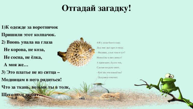 Отгадай загадку! 4)Я у деда был в саду. Дед мне дал орех в меду. - Видишь, ульи там и тут? Новосёлы в них живут! А пронзают, будто ток, Сделав на руке ожог. - Кто же эти новосёлы?  Дедушка ответил: 1)К одежде за воротничок Пришили этот колпачок. 2) Вновь упала на глаза  Не корова, не коза,  Не сосна, не ёлка,  А моя же… 3) Это платье не из ситца – Модницам в него рядиться! Что за ткань, возьми ты в толк, Щеголихи любят…