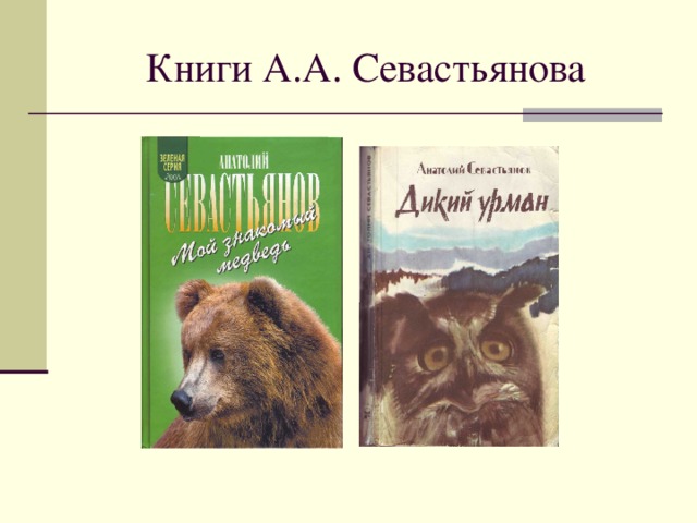 Книги А.А. Севастьянова