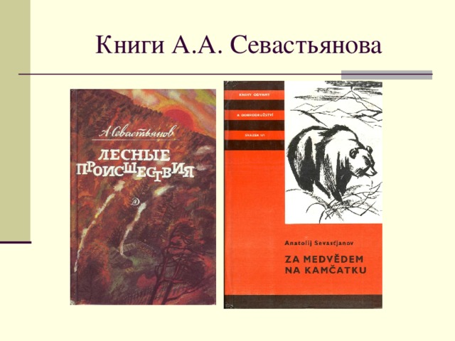 Книги А.А. Севастьянова