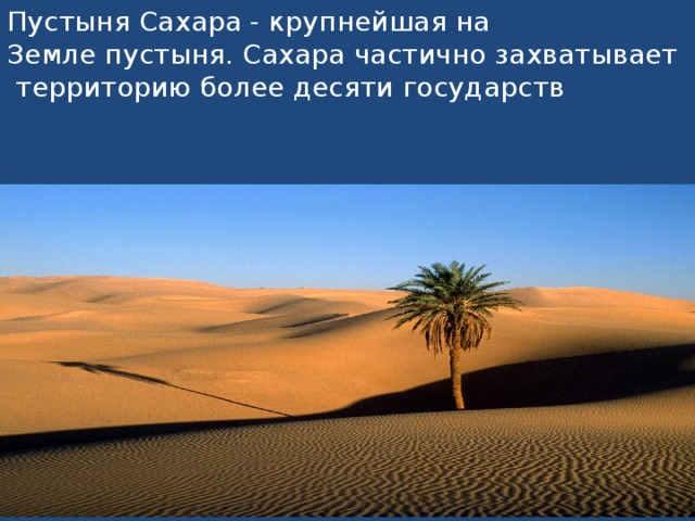 Пустыня Сахара - крупнейшая на Земле пустыня. Сахара частично захватывает территорию более десяти государств