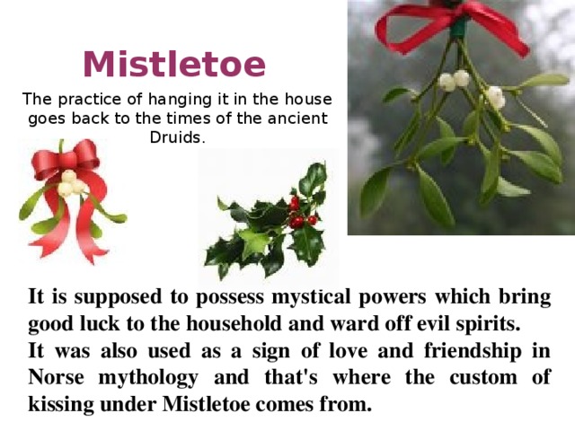 Mistletoe The practice of hanging it in the house goes back to the times of the ancient Druids. It is supposed to possess mystical powers which bring good luck to the household and ward off evil spirits. It was also used as a sign of love and friendship in Norse mythology and that's where the custom of kissing under Mistletoe comes from.