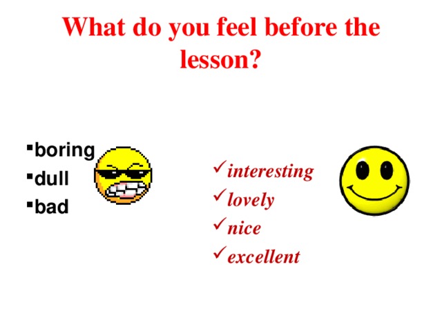 What do you feel before the lesson? boring dull bad    interesting lovely nice excellent