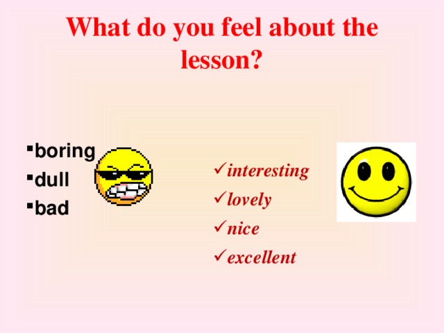 What do you feel about the lesson? boring dull bad    interesting lovely nice excellent