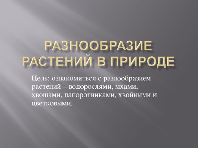 Цель: ознакомиться с разнообразием растений – водорослями, мхами, хвощами, папоротниками, хвойными и цветковыми.