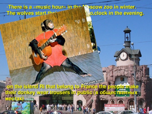 There is a «music hour» in the Moscow zoo in winter. The wolves start their concert at 7 o,clock in the evening.  the duck-bill( утконос ) that lives only in Australia is the strangest animal on earth  on the island Ri that belong to France the people make their donkey wear trousers in public ( в  общественных  местах ) one of the first zoos was founded ( был  основан ) ву king ( королём )Rene of Anjoy in the 15th century Manatees ( ламантин , морская  корова ) is the laziest animals in the world. They eat water-weed .
