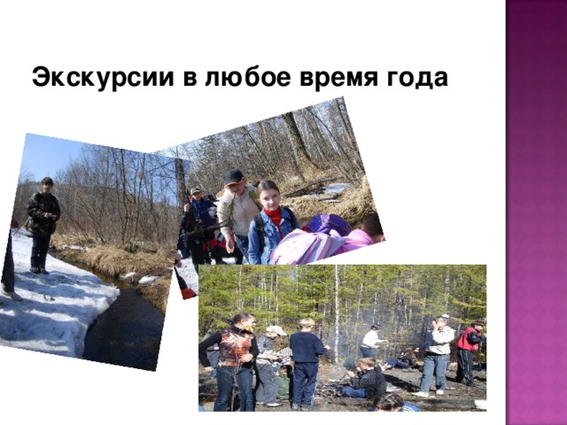 Экскурсии в любое время года