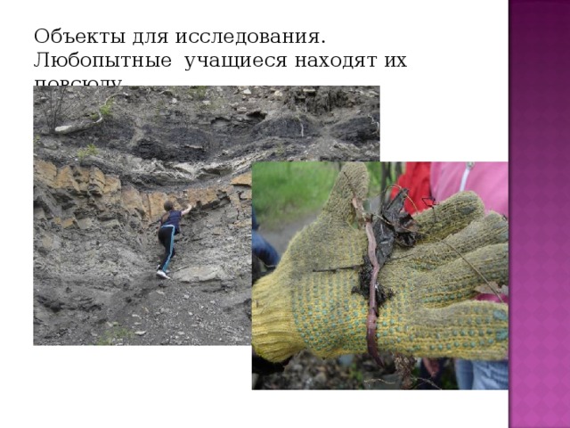 Объекты для исследования.  Любопытные учащиеся находят их повсюду