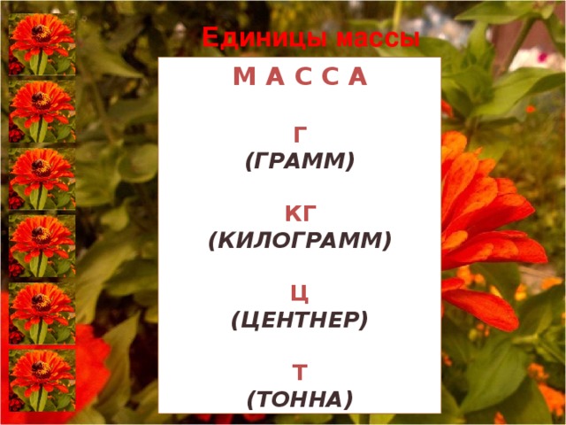 Единицы массы   М А С С А Г (ГРАММ)  КГ (КИЛОГРАММ)  Ц (ЦЕНТНЕР)  Т (ТОННА)