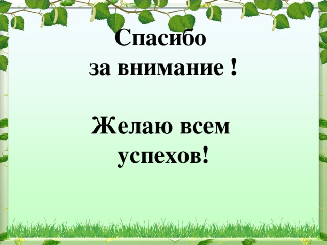 Спасибо  за внимание !   Желаю всем  успехов!