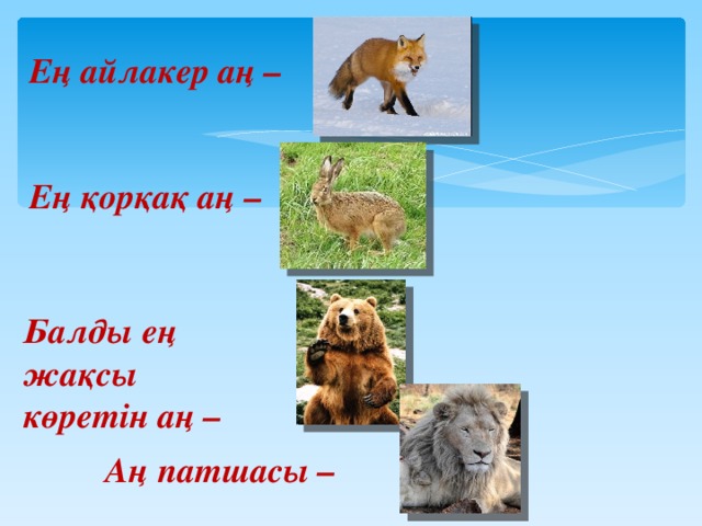 Ең айлакер аң – Ең қорқақ аң – Балды ең жақсы көретін аң – Аң патшасы –