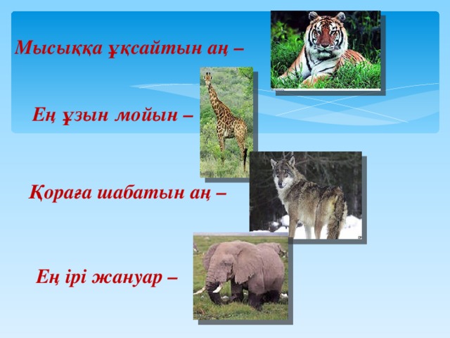 Мысыққа ұқсайтын аң – Ең ұзын мойын – Қораға шабатын аң – Ең ірі жануар –