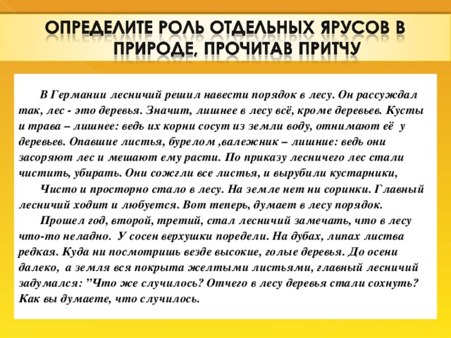 В Германии лесничий решил навести порядок в лесу. Он рассуждал так, лес - это деревья. Значит, лишнее в лесу всё, кроме деревьев. Кусты и трава – лишнее: ведь их корни сосут из земли воду, отнимают её у деревьев. Опавшие листья, бурелом ,валежник – лишние: ведь они засоряют лес и мешают ему расти. По приказу лесничего лес стали чистить, убирать. Они сожгли все листья, и вырубили кустарники, Чисто и просторно стало в лесу. На земле нет ни соринки. Главный лесничий ходит и любуется. Вот теперь, думает в лесу порядок. Прошел год, второй, третий, стал лесничий замечать, что в лесу что-то неладно. У сосен верхушки поредели. На дубах, липах листва редкая. Куда ни посмотришь везде высокие, голые деревья. До осени далеко, а земля вся покрыта желтыми листьями, главный лесничий задумался: ”Что же случилось? Отчего в лесу деревья стали сохнуть? Как вы думаете, что случилось.