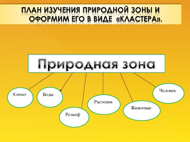 Человек  Воды  Климат Растения  Животные  Рельеф