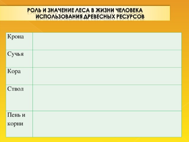 Крона Сучья Кора Ствол Пень и корни