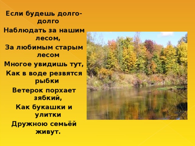 Если будешь долго-долго Наблюдать за нашим лесом, За любимым старым лесом Многое увидишь тут, Как в воде резвятся рыбки Ветерок порхает зябкий, Как букашки и улитки Дружною семьёй живут.