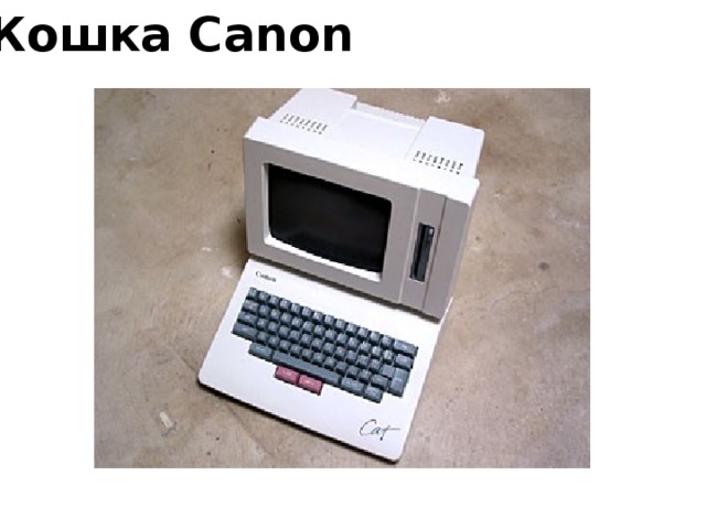 Кошка Canon