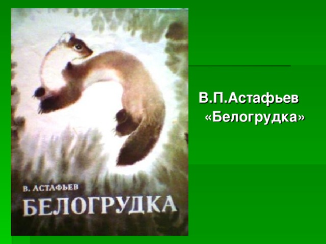 В.П.Астафьев «Белогрудка»