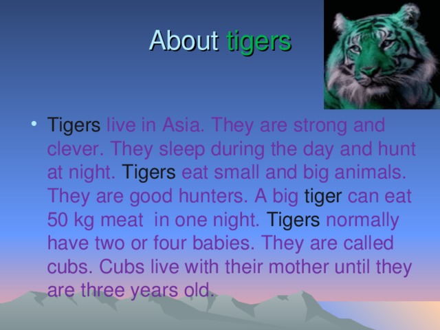 About tigers