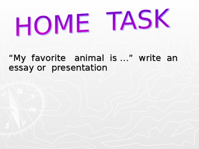 “ My favorite animal is …” write an essay or presentation