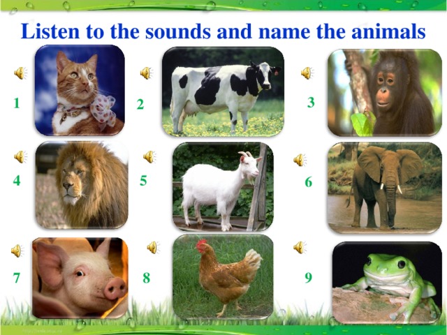 Listen to the sounds and name the animals 3 1 2 4 5 6 9 8 7