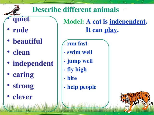 Describe different animals   quiet rude beautiful clean independent caring strong clever  Model:  A cat is independent .  It can play . - run fast - swim well - jump well - fly high - bite - help people