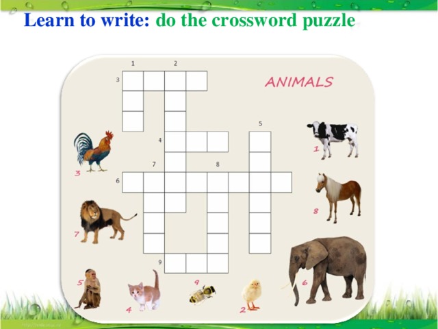 Learn to write: do the crossword puzzle